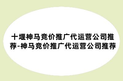 十堰神马竞价推广代运营公司推荐-神马竞价推广代运营公司推荐