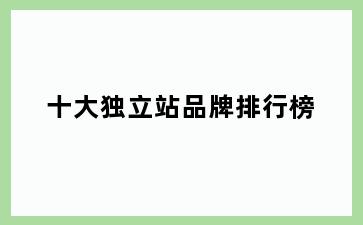 十大独立站品牌排行榜