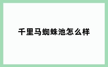 千里马蜘蛛池怎么样