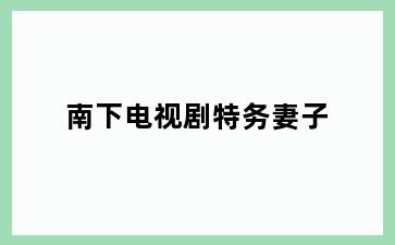 南下电视剧特务妻子