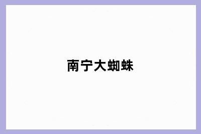 南宁大蜘蛛