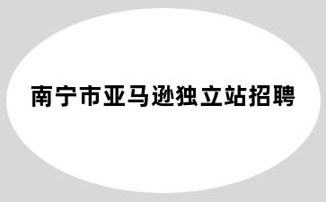 南宁市亚马逊独立站招聘