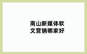 南山新媒体软文营销哪家好