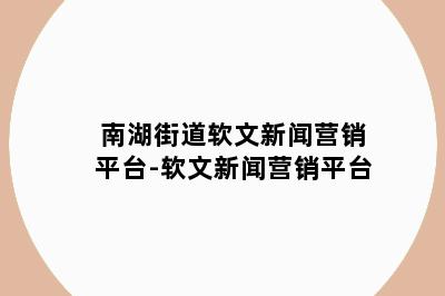 南湖街道软文新闻营销平台-软文新闻营销平台