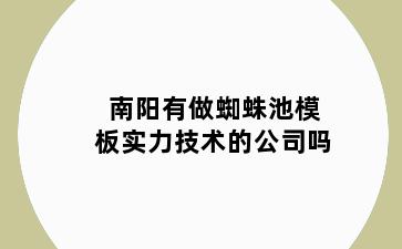 南阳有做蜘蛛池模板实力技术的公司吗