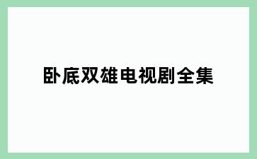 卧底双雄电视剧全集