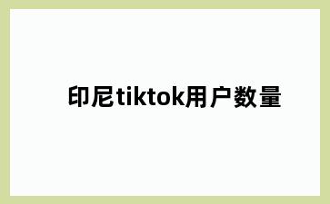 印尼tiktok用户数量