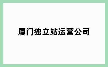 厦门独立站运营公司