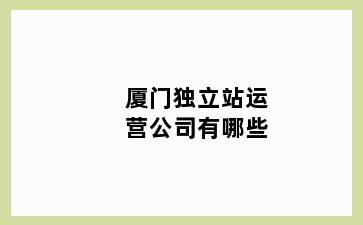 厦门独立站运营公司有哪些