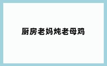 厨房老妈炖老母鸡
