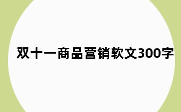 双十一商品营销软文300字