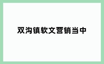 双沟镇软文营销当中