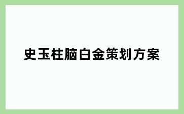 史玉柱脑白金策划方案