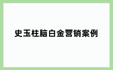 史玉柱脑白金营销案例