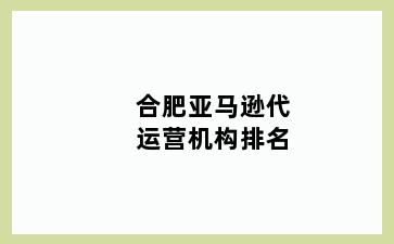 合肥亚马逊代运营机构排名