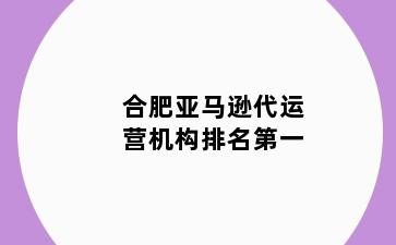 合肥亚马逊代运营机构排名第一