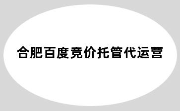 合肥百度竞价托管代运营