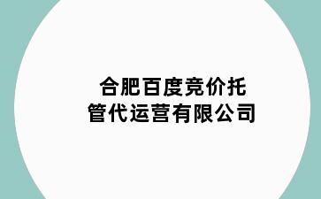 合肥百度竞价托管代运营有限公司