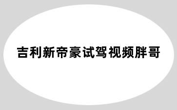 吉利新帝豪试驾视频胖哥