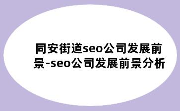 同安街道seo公司发展前景-seo公司发展前景分析