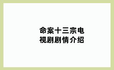 命案十三宗电视剧剧情介绍