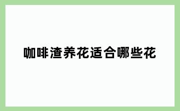 咖啡渣养花适合哪些花