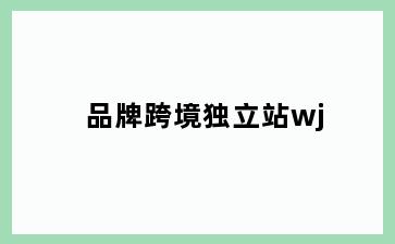 品牌跨境独立站wj