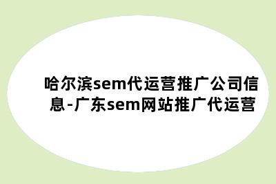 哈尔滨sem代运营推广公司信息-广东sem网站推广代运营
