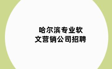 哈尔滨专业软文营销公司招聘