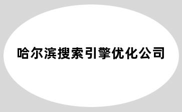 哈尔滨搜索引擎优化公司