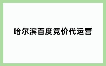 哈尔滨百度竞价代运营