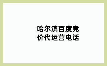 哈尔滨百度竞价代运营电话