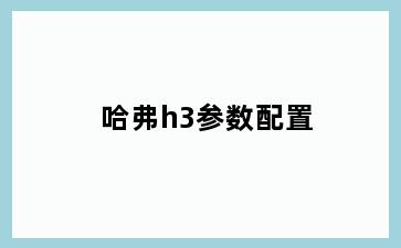 哈弗h3参数配置