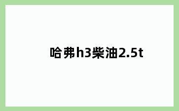 哈弗h3柴油2.5t