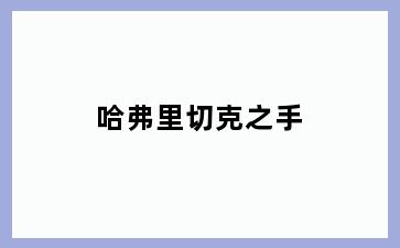 哈弗里切克之手
