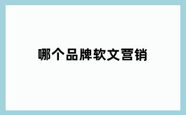 哪个品牌软文营销