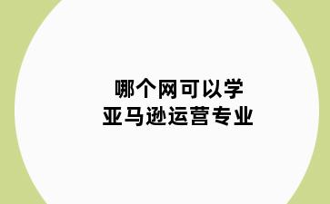哪个网可以学亚马逊运营专业