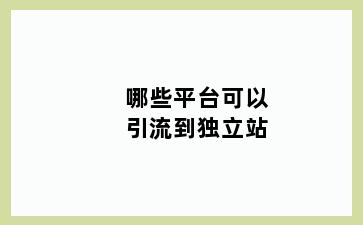 哪些平台可以引流到独立站