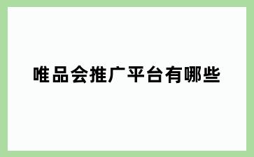 唯品会推广平台有哪些