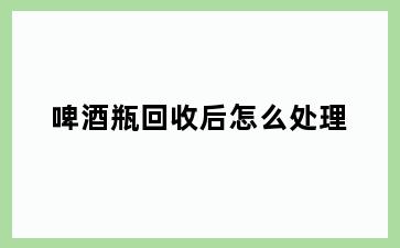 啤酒瓶回收后怎么处理