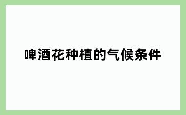 啤酒花种植的气候条件