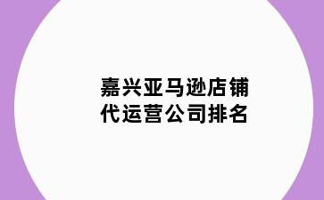 嘉兴亚马逊店铺代运营公司排名