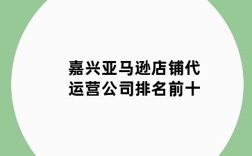 嘉兴亚马逊店铺代运营公司排名前十
