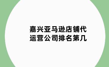 嘉兴亚马逊店铺代运营公司排名第几