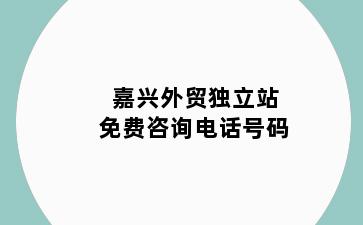嘉兴外贸独立站免费咨询电话号码
