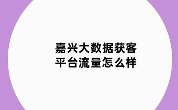 嘉兴大数据获客平台流量怎么样