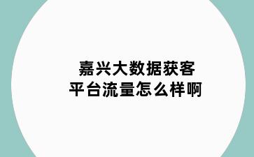 嘉兴大数据获客平台流量怎么样啊