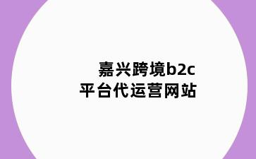 嘉兴跨境b2c平台代运营网站