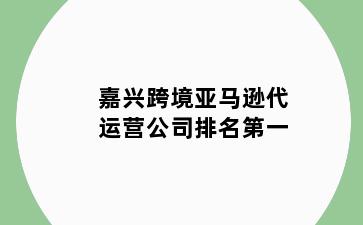 嘉兴跨境亚马逊代运营公司排名第一