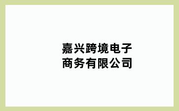 嘉兴跨境电子商务有限公司